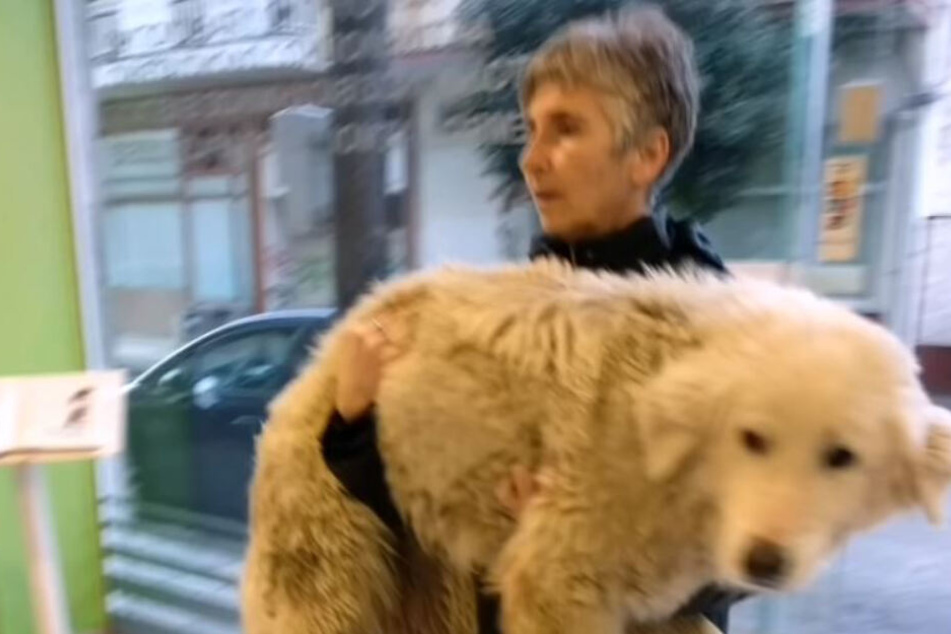 Die Frauen von "DAR Animal Rescue" griffen ein.