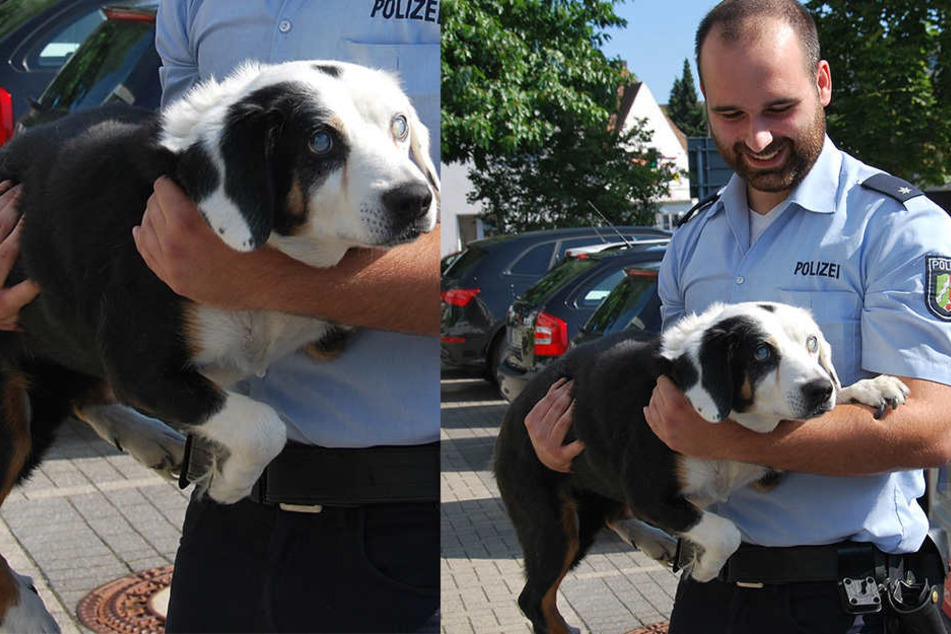 Polizeikommissar Sven Clausing mit dem blinden Hund.