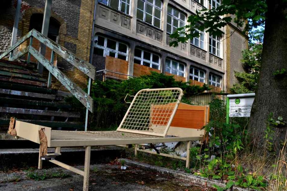Auf dem ehemaligen Klinikgelände sollen mittlerweile 30 gesetzlich geschützte Biotope stehen.