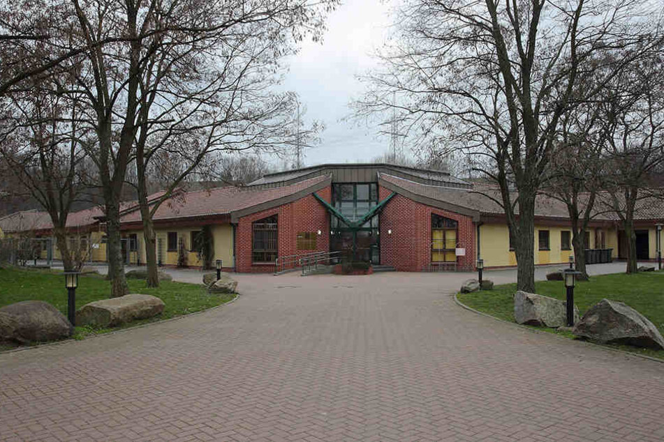 Das Dresdner Tierheim könnte im Zuge der neuen B 6-Trasse einen anderen Standort erhalten.