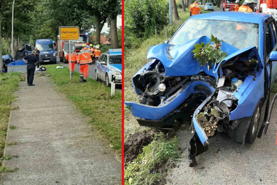Tödlicher Unfall! Auto kracht frontal in Baum: Fahrer stirbt