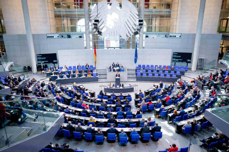 Seitz ist AfD-Abgeordneter im Deutschen Bundestag.