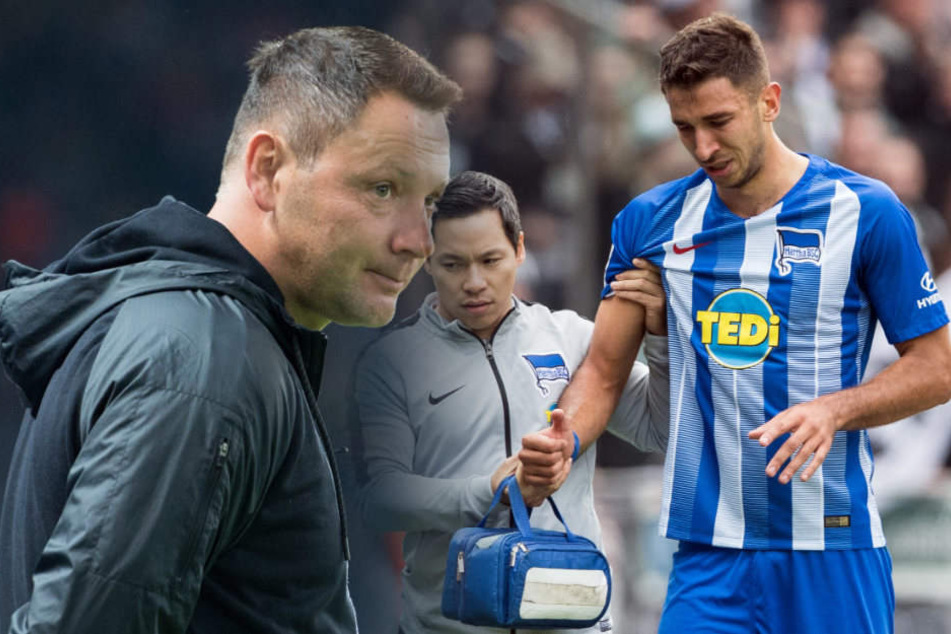 Pal Dardai weiß noch nicht, ob er Marko Grujic jetzt schon von Anfang an bringen sollte. (Bildmontage)