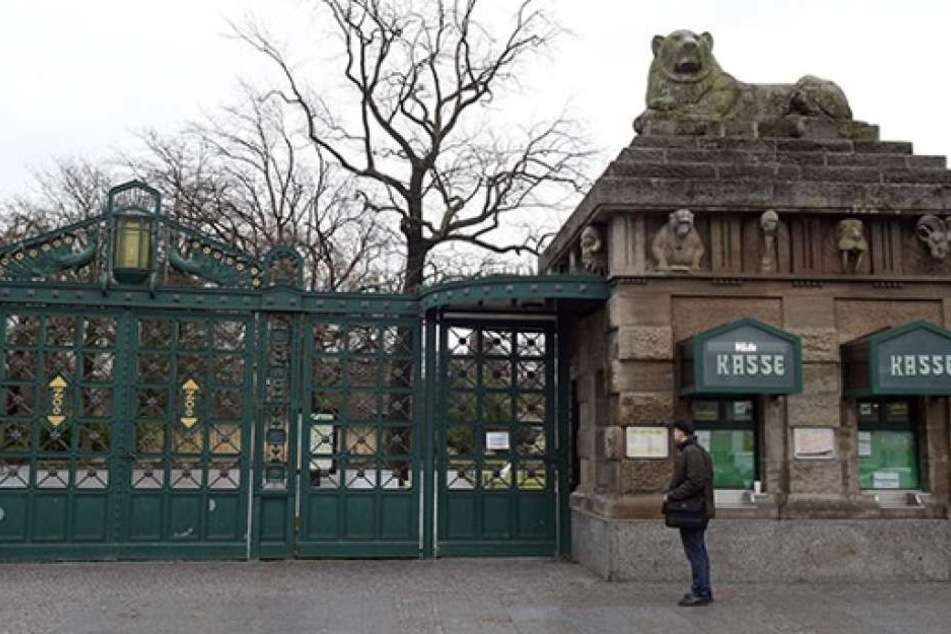 Auf den Namen Fritz hat sich eine siebenköpfige Jury von Berliner Zoo geeinigt.