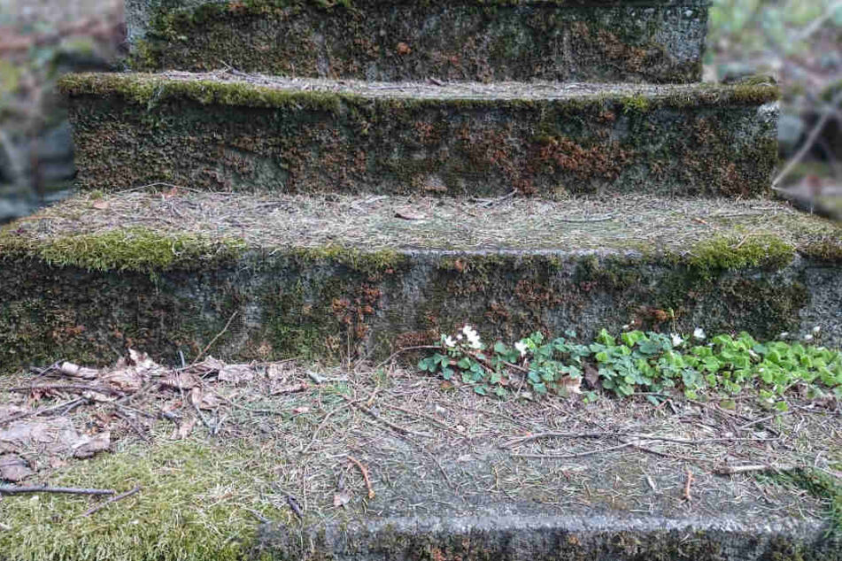 Ein 12 Jahre alter Junge ist im Juni 2014 während eines Schulausflugs verstorben, nachdem er eine ungesicherte Treppe hinunterstürzte (Symbolbild).