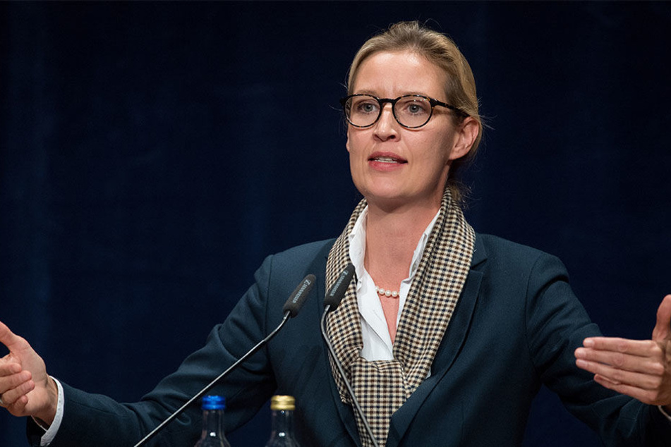 Alice Weidel soll 2013 eine rassistische E-Mail verfasst haben.