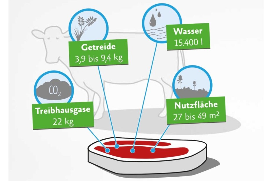 Die Ressourcen, die zur Herstellung von einem Kilo Rindfleisch benötigt werden.