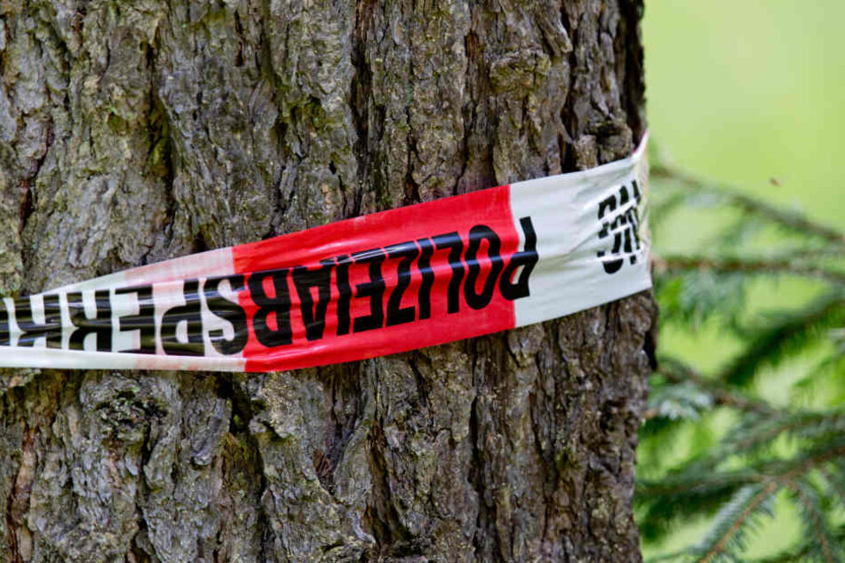 Der Fahrer verlor in einer Kurve die Kontrolle und krachte gegen einen Baum. (Symbolbild)