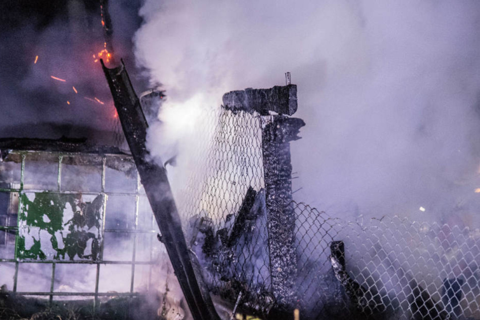 13 Tiere kamen in den Flammen um.