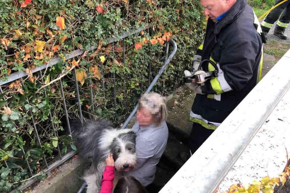 Der Hund blieb auf der Flucht vor dem Staubsauger im Zaun stecken.
