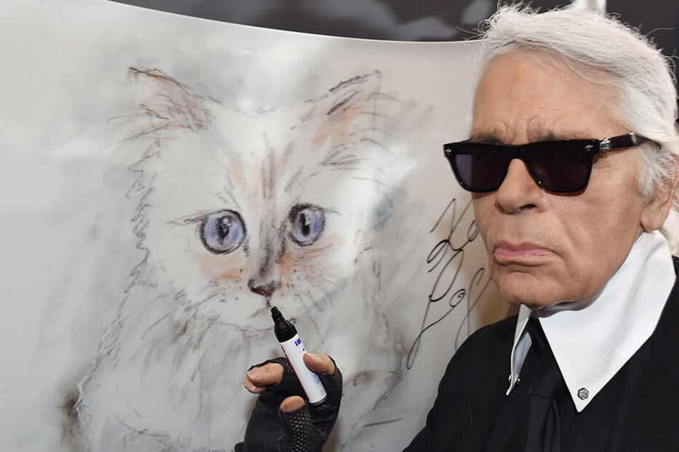 Katze Choupette war Lagerfeld Ein und Alles.