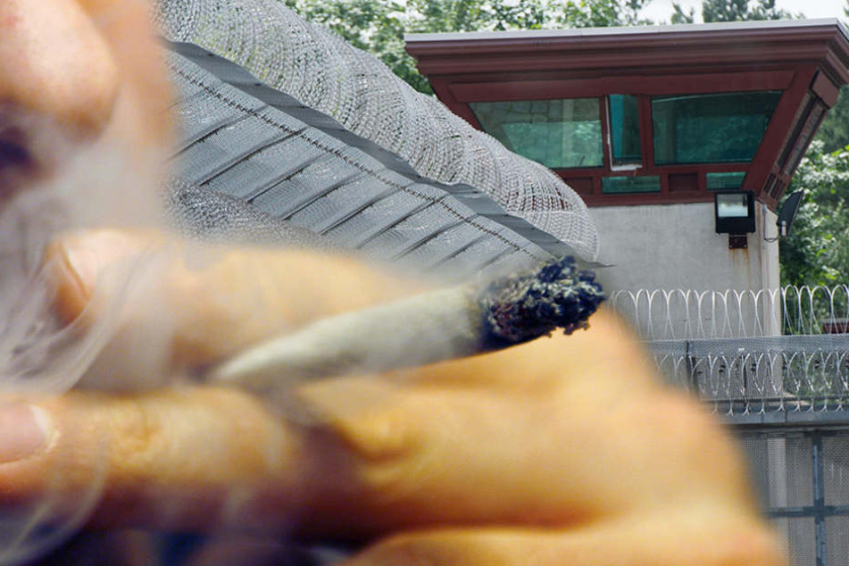 Marihuana gehört mittlerweile in Berliner Strafanstalten zum Gefägnisalltag.