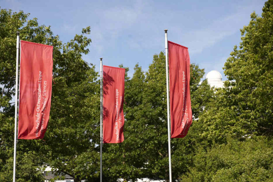 Der neue Studiengang ist für die Hochschule Ostwestfalen-Lippe ein Alleinstellungsmerkmal.