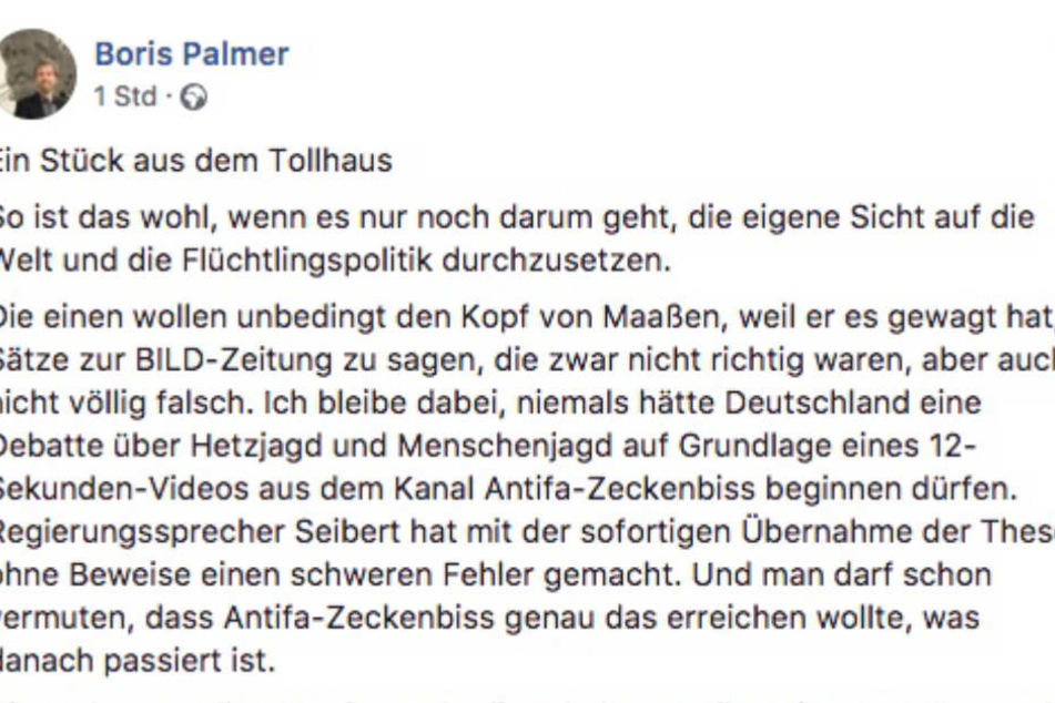 So äußert sich der Grüne Oberbürgermeister Boris Palmer auf Facebook.