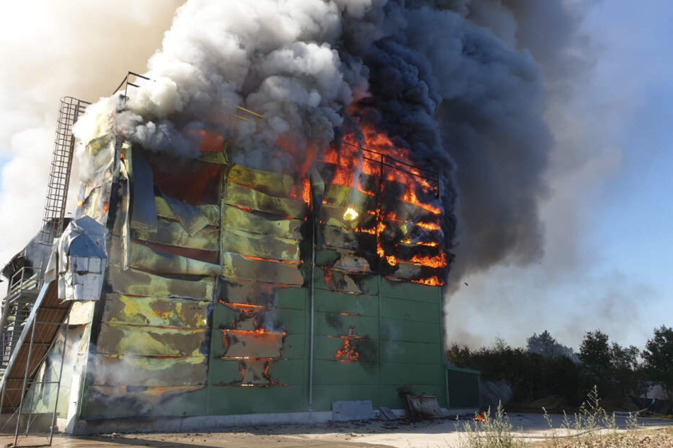 Flammen und Rauch steigen aus dem brennenden Stall auf.