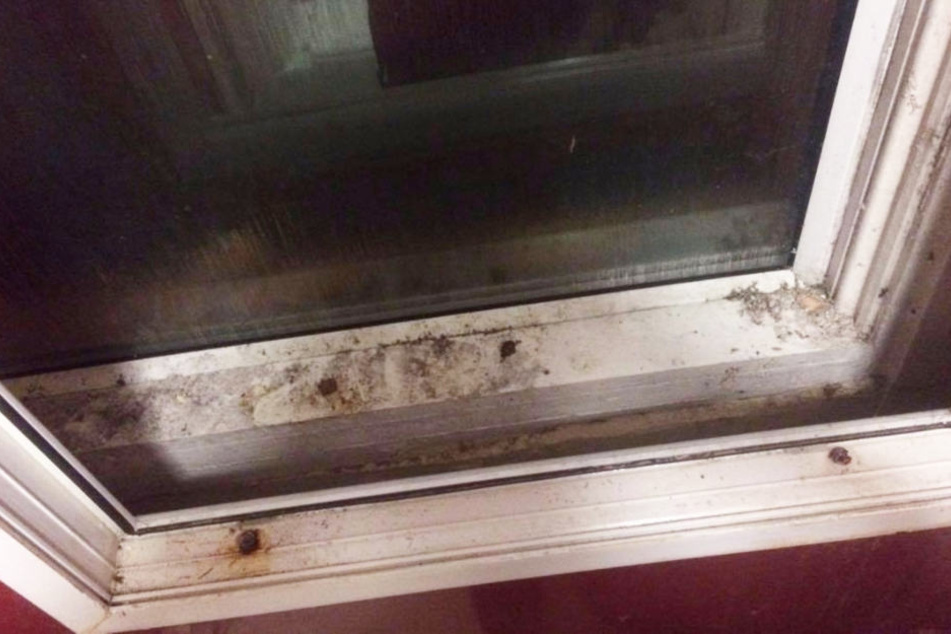 Durch dieses Fenster warf das Mädchen seine Exkremente.