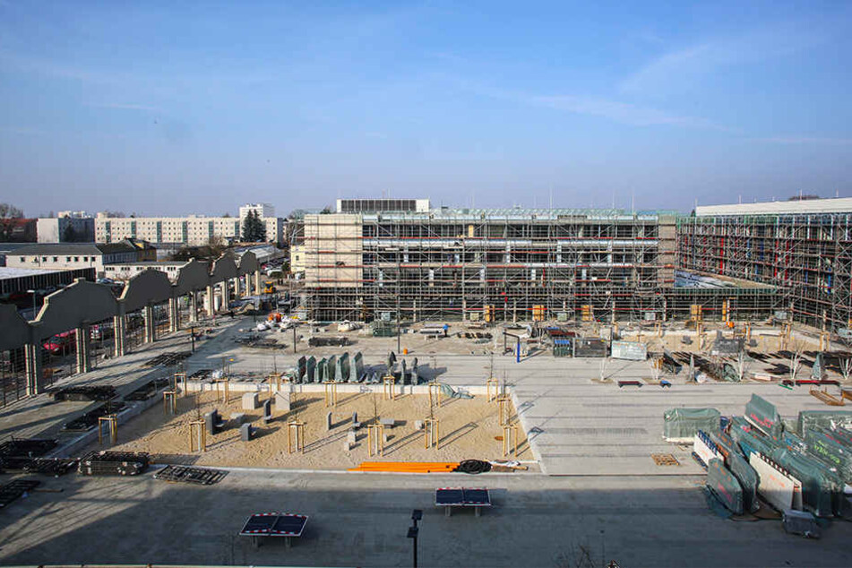 Zwischen Kipsdorfer Straße und Tolkewitzer Friedhof befindet sich der neue Schulcampus.