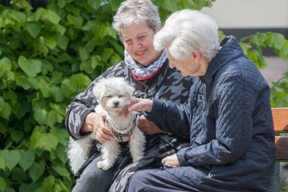 Die ehrenamtliche Sterbebegleiterin Yvonne Schlüter (l) und ihr Hund Balu sitzen auf einer Parkbank mit Christine Hirschmann, die unter Demenz leidet.