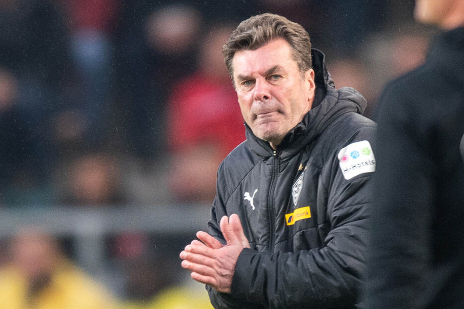 Dieter Hecking übernimmt als Cheftrainer beim HSV.