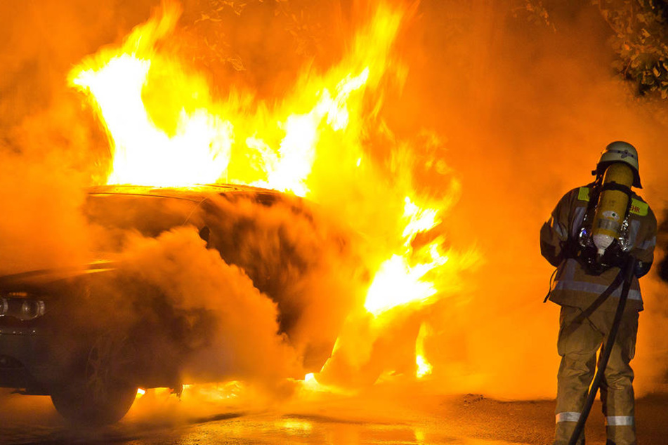 Bei einer Fahndungsüberprüfung stellte die Polizei fest, dass der Skoda Octavia als gestohlen gemeldet war (Symbolbild).