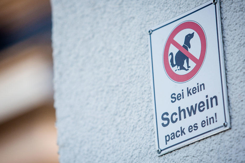 Der Senat ist beim Kampf gegen die Verschmutzung der Bürgersteige durch Hundekot bislang gescheitert.
