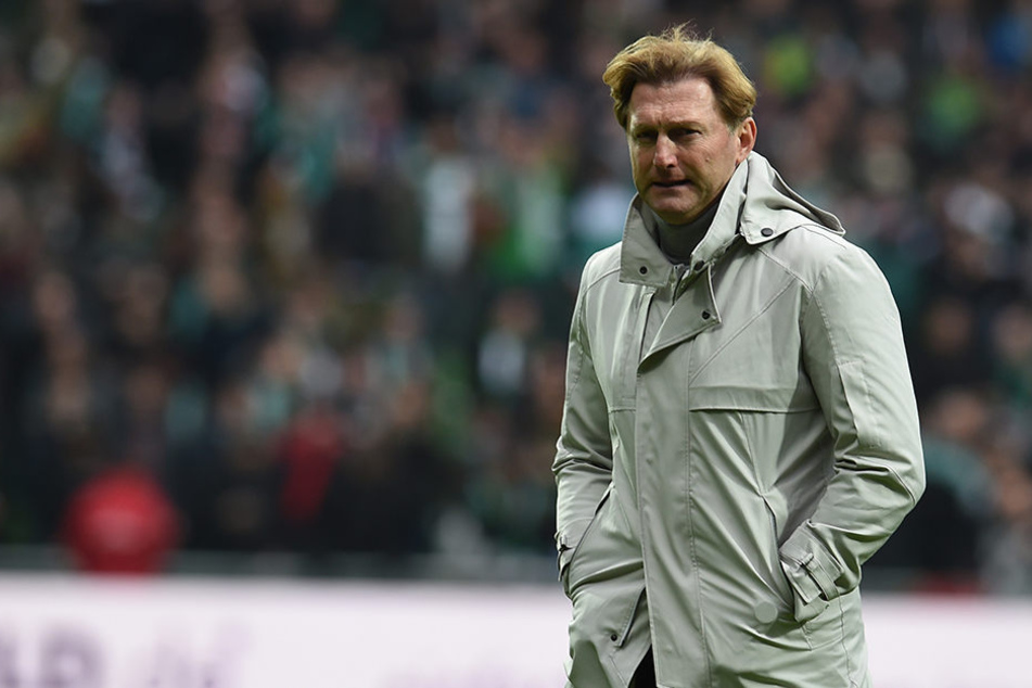 Ralph Hasenhüttl sieht den Einstieg in die Champions League sportlich: Sollte seine Mannschaft es nicht schaffen, "hätten wir es auch nicht verdient."