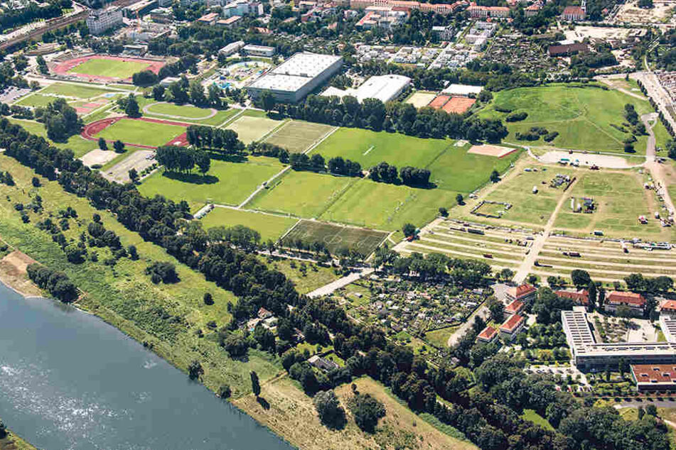 Das ist Dresdens „Sport-Olymp“. Schauen Sie mal, wo im Ostragehege überall
Sport getrieben wird.