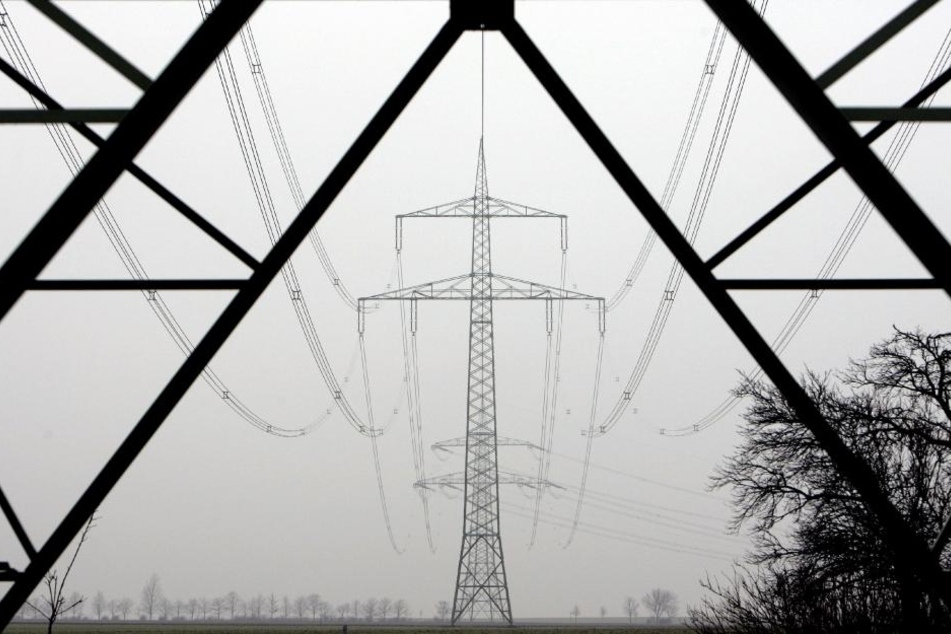 Künftig sollen Erzeuger mit eigenen Kraftwerken, die ihren Strom selbst verbrauchen oder ins eigene Netz einspeisen, keine so genannten vermiedenen Netzentgelte mehr erhalten.