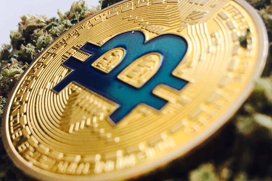 Die ausgehobene Plattform funktionierte wohl mit Hilfe anonymer Bitcoin-Zahlungen.