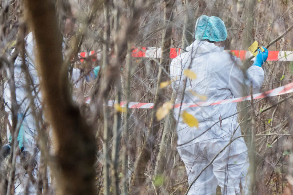 Die Lebensgefährtin (37) am Mittwoch tot im Waldgebiet nahe Ostbevern gefunden. (Symbolbild)