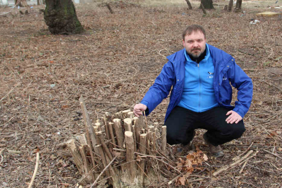 Leipzigs NABU-Chef René Sievert (46) vor gerodeten Stadtgehölzen, die einmal Lebensraum von Vögeln waren.
