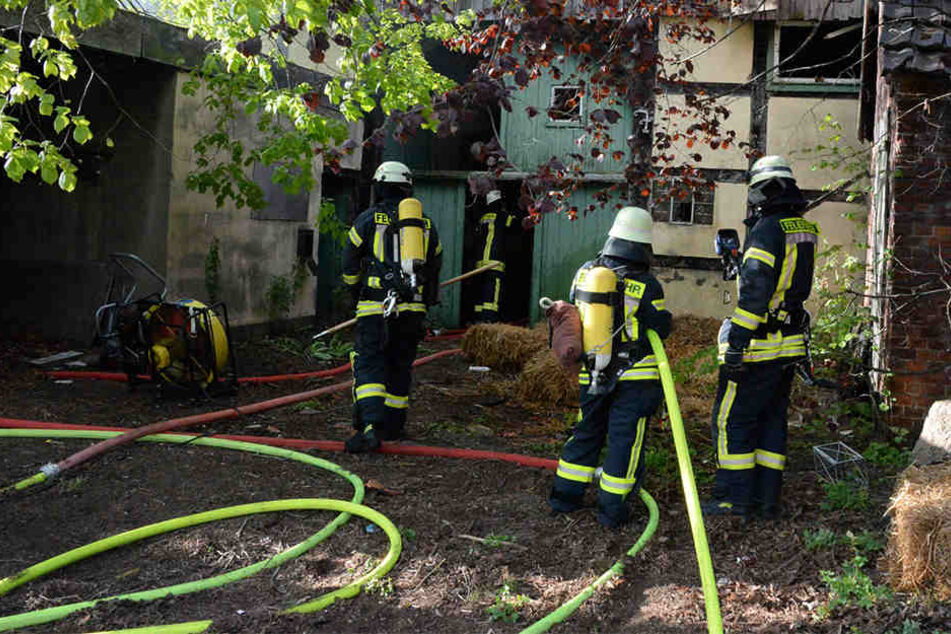 Die Feuerwehrmänner hatten den Brand schnell im Griff.