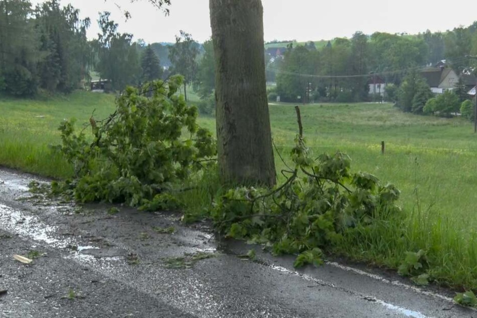 Wegen der heftigen Unwetter knickten an einigen Bäumen Äste ab.