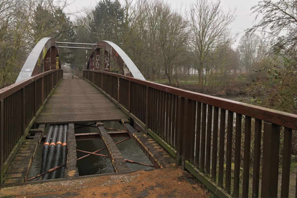 Die Bauernbrücke wurde von einem Pilz befallen. Das Holz ist stark geschädigt.