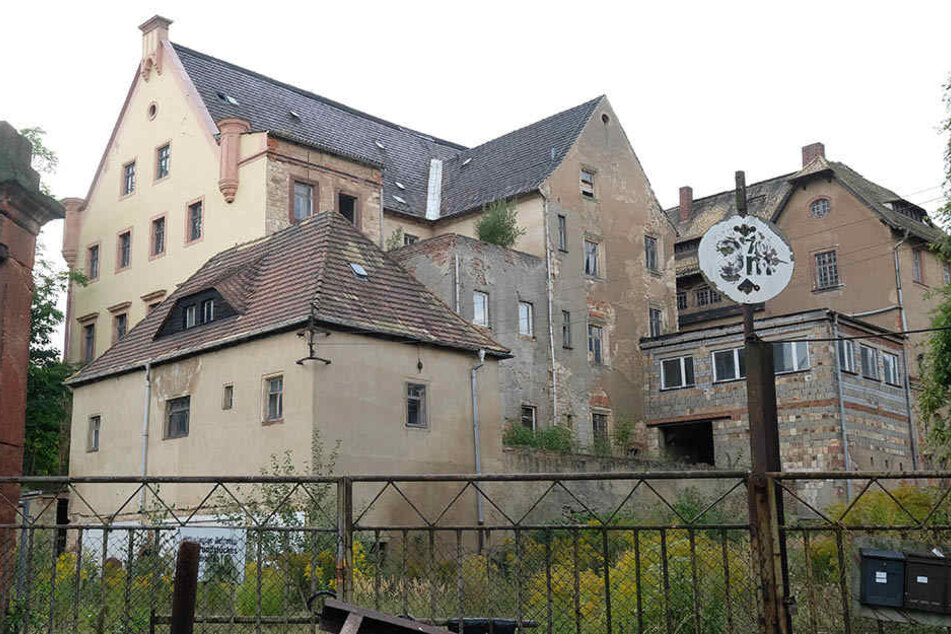 Das Rittergut Sahlis geht an einen Investor aus dem Münsterland. Dieser muss nur noch den Kaufpreis überweisen.