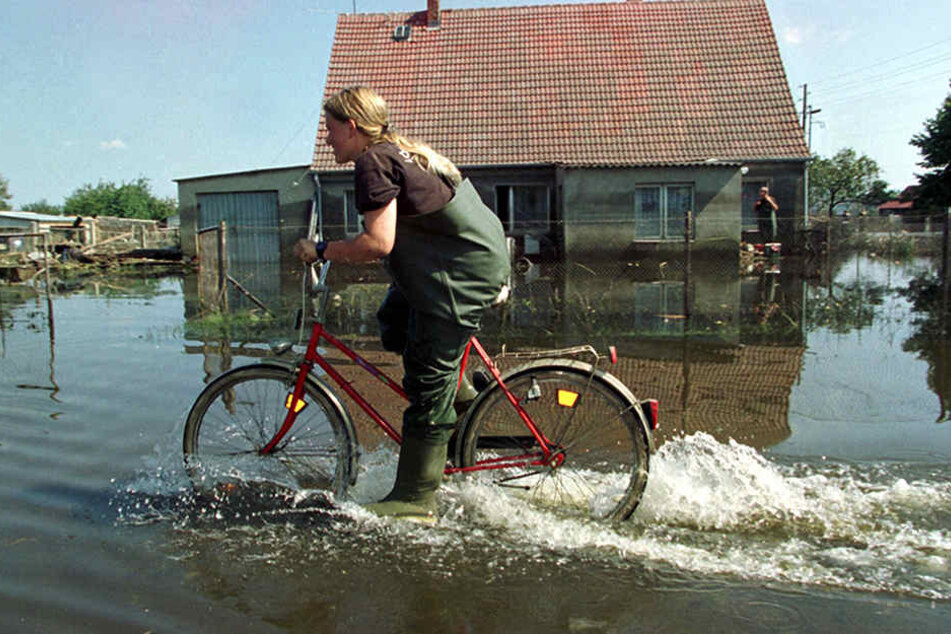 Eine Anwohnerin fährt mit einem Fahrrad durch eine vom Oderhochwasser überflutete Straße. (Symbolbild)