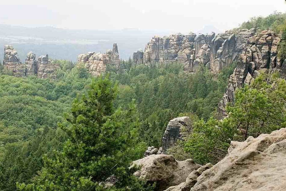 Unweit der Schrammsteine stürzte der Wanderer 20 Meter in die Tiefe.