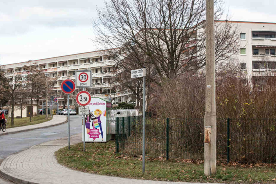 Hier auf der Otto-Nagel-Straße beschädigten die mutmaßlichen Täter einen Passat mit Böllern.