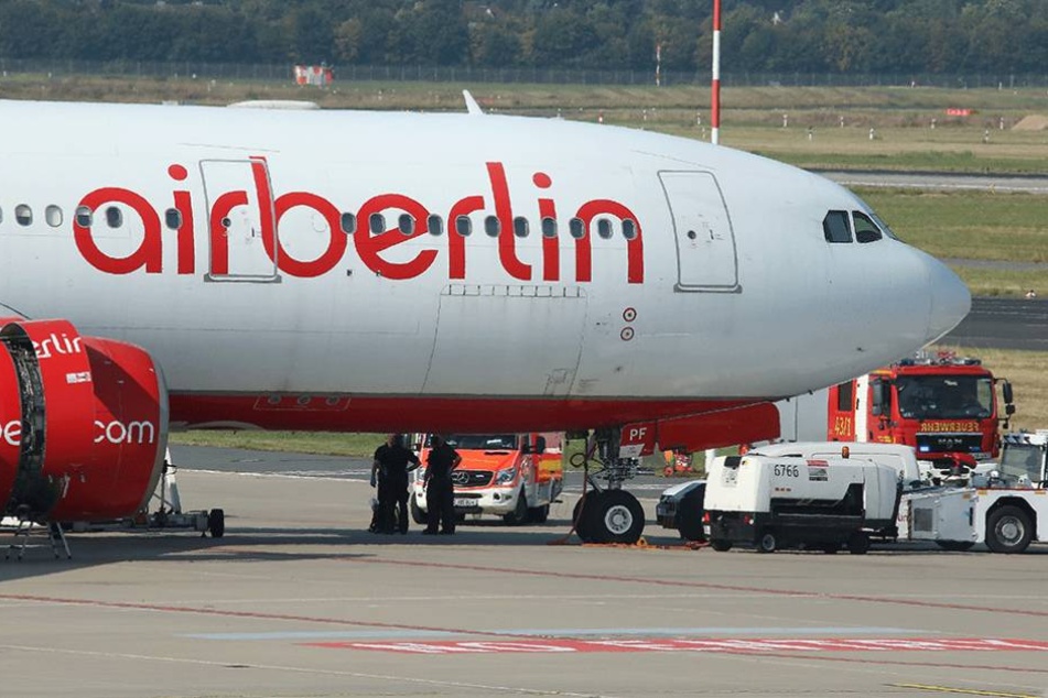 Ein Airbus A330 ist von dem Rattenbefall betroffen (Symbolbild).