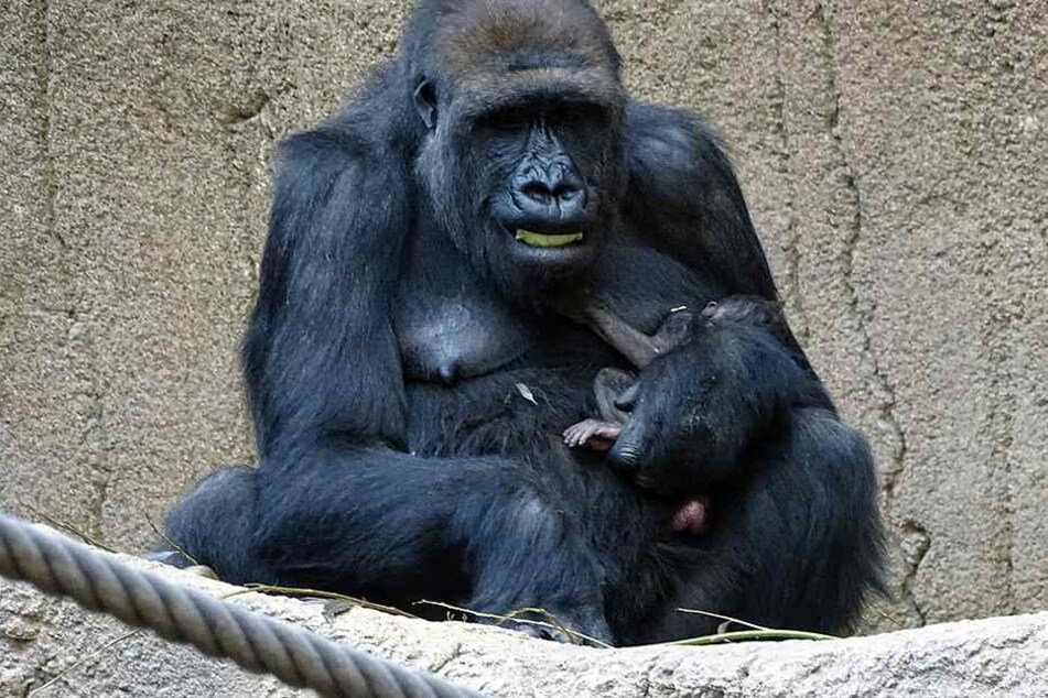 Mutter Kibara hält ihr Baby im Arm.