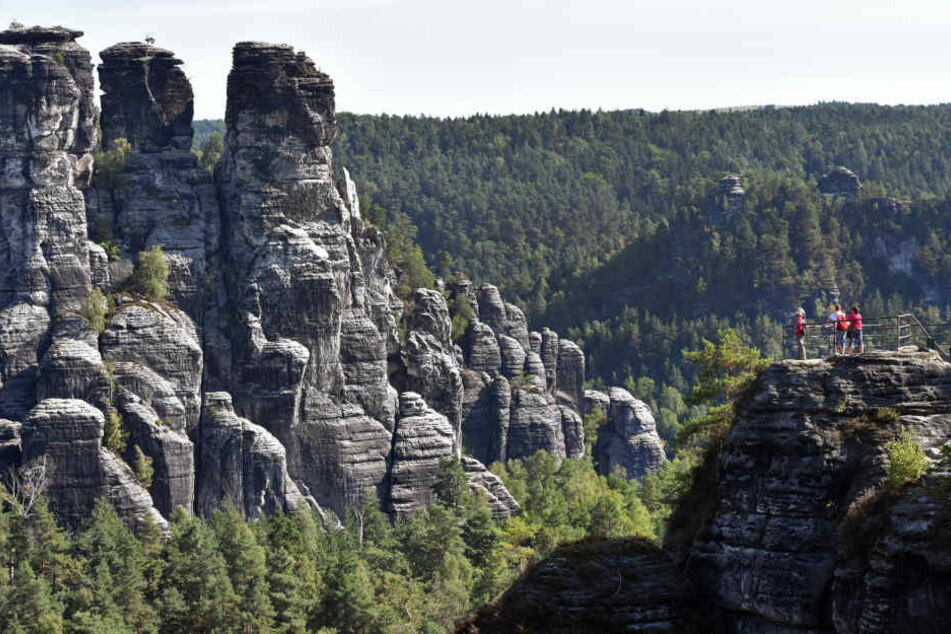 Die Sächsische Schweiz ist bei Touristen wieder beliebter.