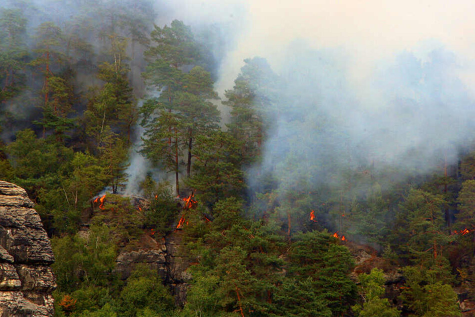 In einem unzugänglichen Gebiet unterhalb der Bastei ist das Feuer ausgebrochen.