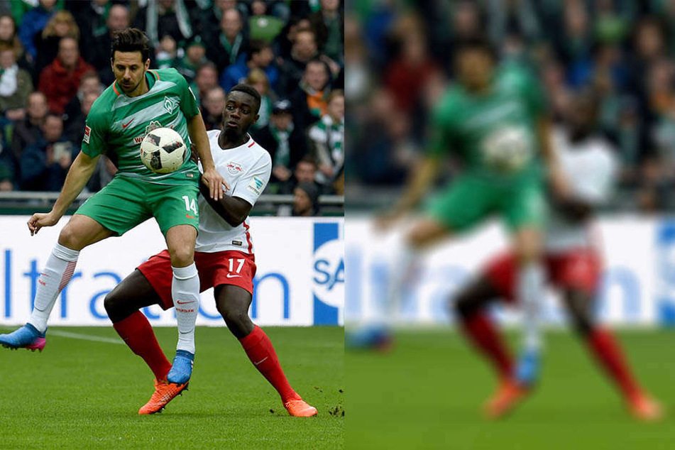 Gegen Werder Bremen (hier im Zweikampf mit Claudio Pizarro) bestritt Upamecano sein bislang bestes Spiel für die Roten Bullen.