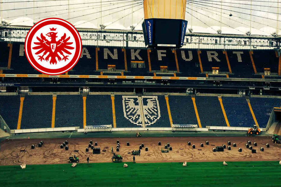 Auch die Eintracht-Fans sprachen sich für ein neues Grün in der Commerzbank Arena aus.
