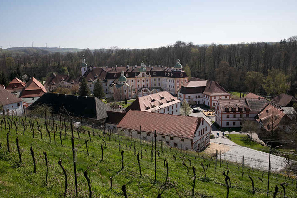 Neben dem Kloster St. Marienthal befindet sich der östlichste Weinberg Deutschlands. Zu den Osterfeiertagen öffnen die Winzer den Weinkeller zum Ausschank.