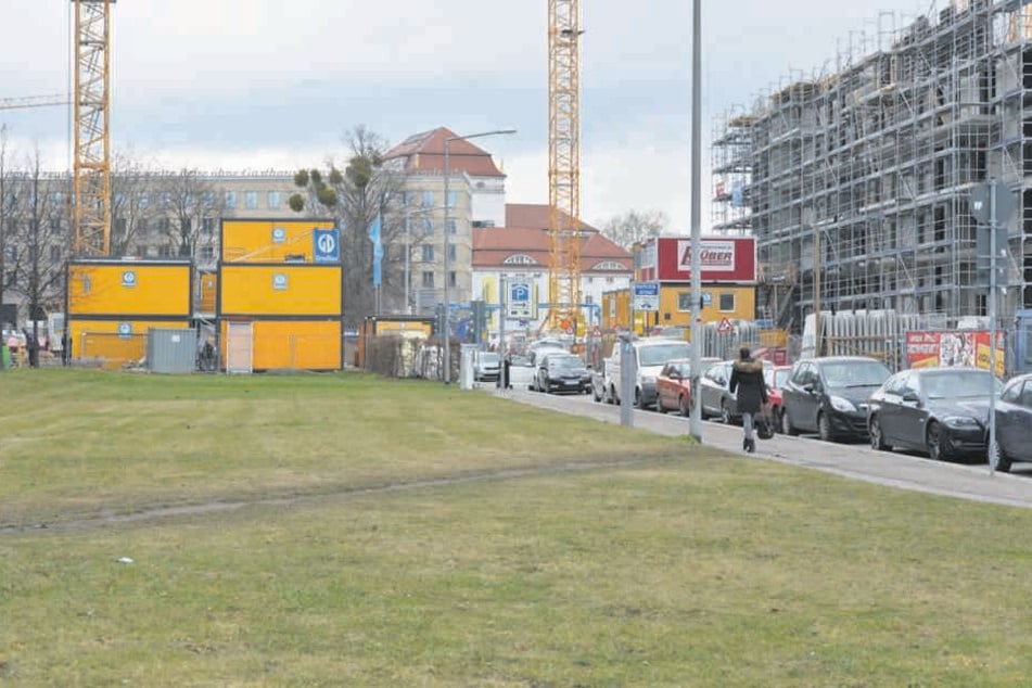 Damit die Linden-Reihen gepflanzt werden können, fällt die Stadt noch die wild gewachsenen Bäume auf der Baustelle der CG-Gruppe (im Bildhintergrund).