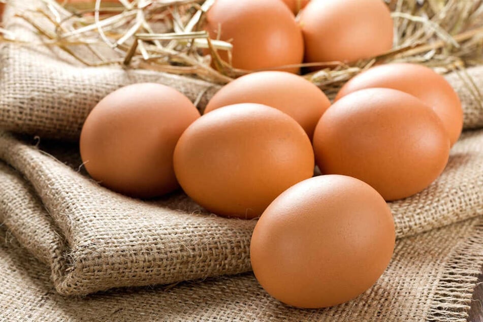 Die Eier sollen mit Biozid belastet sein. (Symbolbild)