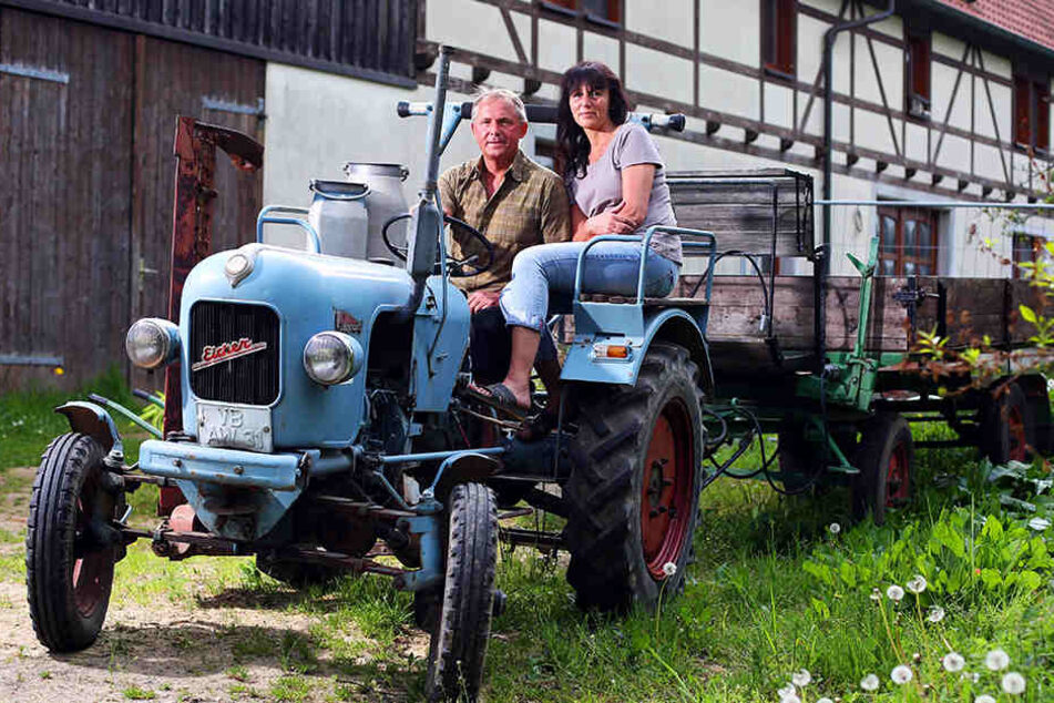 Wartet auf seinen Einsatz:
Mit dem Oldtimer-Traktor der
Firma Eicher, Baujahr 1956,
holen Olaf Schirmer (50) und
seine Frau Heike (49) die
Ernte ein.