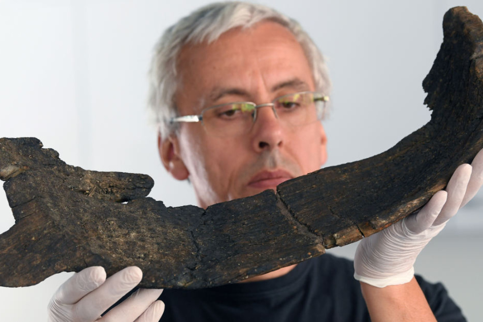 Vor 7000 Jahren haben die ersten Bauern im heutigen Sachsen-Anhalt eine sogenannte Worfschale zum Trennen der Spreu vom Getreide verwendet. Im Bild: Heiko Breuer, Restaurator am Landesmuseum für Archäologie in Halle (Saale).