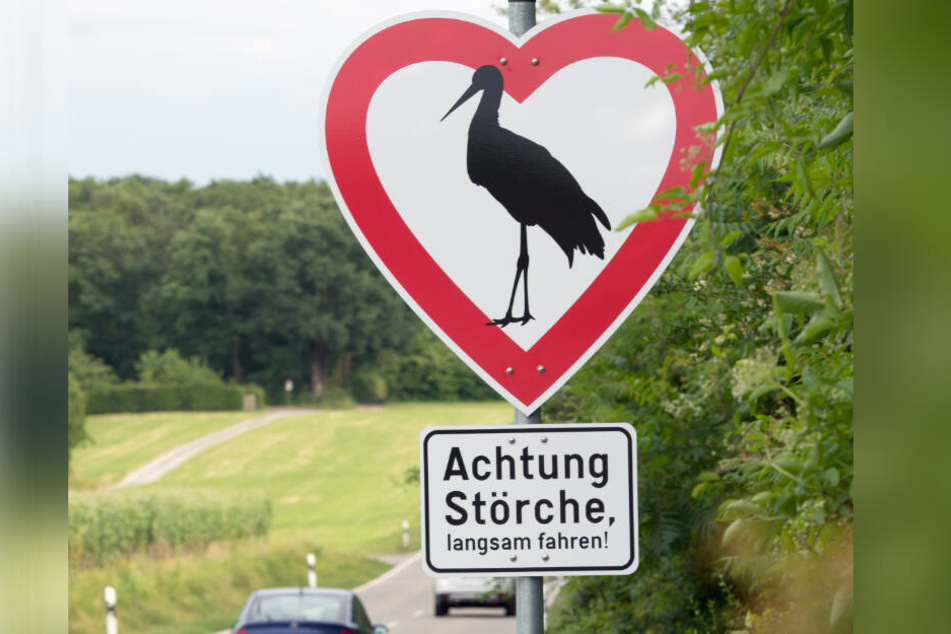 "Achtung Störche", warnt dieses begehrte Schild.